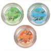 Duncan Toys Limelight - LED Yo-Yo