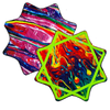 The Mougee Air - Flow Star - Our Most Popular Flowstar Mougee