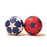 Zeekio Satellite Juggling Ball - Millet filled-67mm-125g - Great Grip - 12 Panel- Single Ball